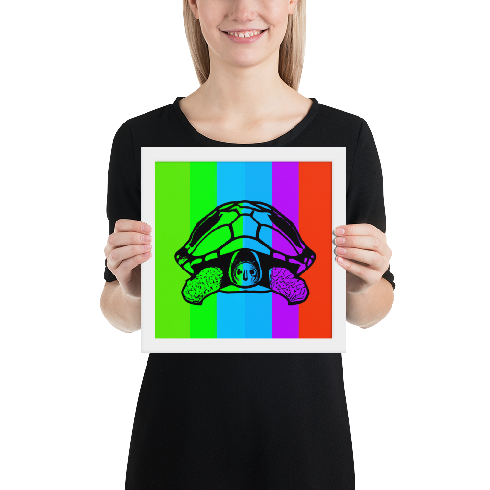 Rainbow Turtle