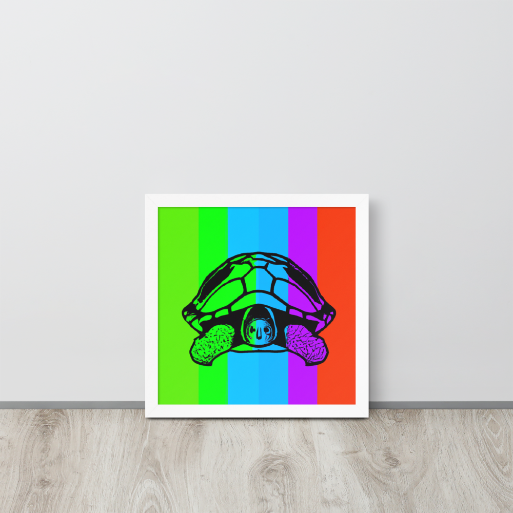 Rainbow Turtle