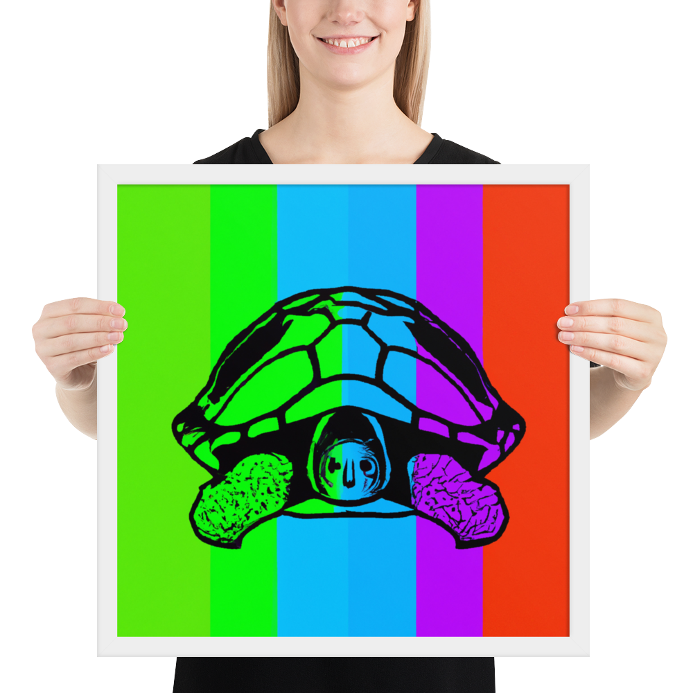 Rainbow Turtle